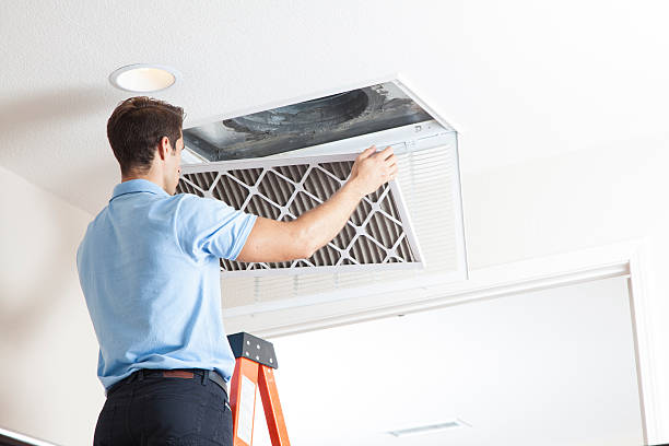Best Air Filters and Purifiers in Howland Center, OH